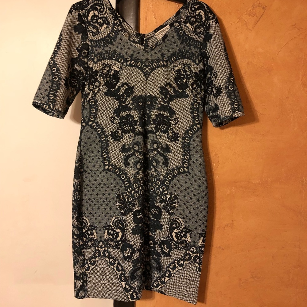 Baraschi Print Dress